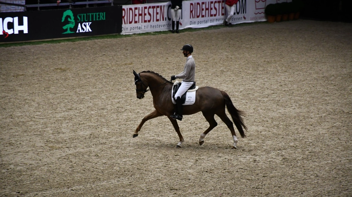 Daniel Bachmann Andersen var testrytter i I Blue Hors Unghestechampionat for 5-årige dressurheste. Foto: Camilla Bønløkke