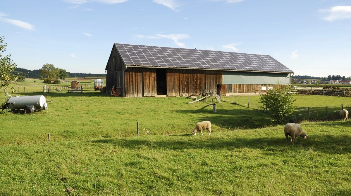 Dansk Solcelleforening mener, at forslaget til en ny tarifstruktur straffer solcelleejere i landdistrikterne, der investerer i vedvarende energi. Foto: Colourbox