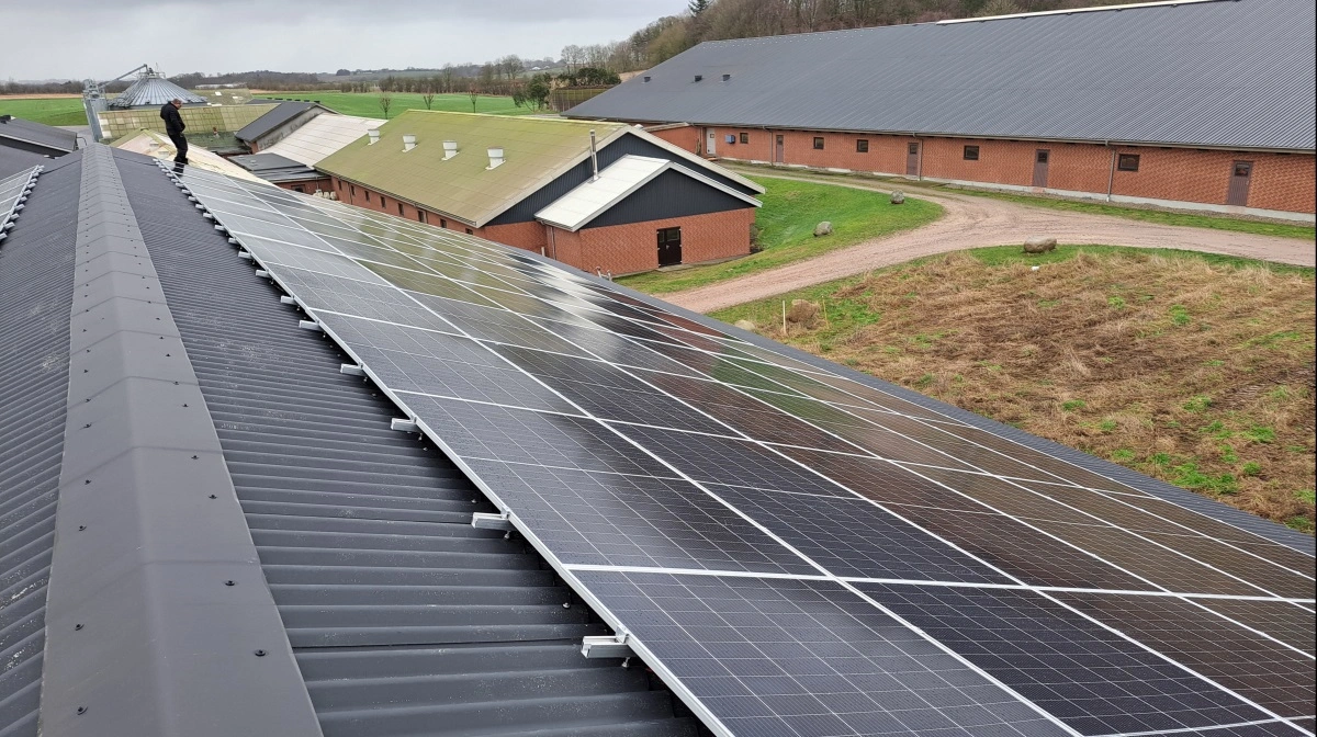 Solceller på taget er en billigere løsning end et jordbaseret solcelleanlæg. Men det kræver at taget kan holde og vender den rigtige vej i forhold til solen.