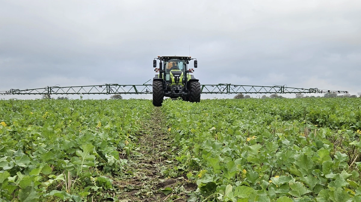 Sammenlægningen af Agri Nord og LandboNord har givet grønne tal for det nye Agillix, der har kunne præsentere grønne tal i første regnskabsår. Arkivfoto: Christian Carus