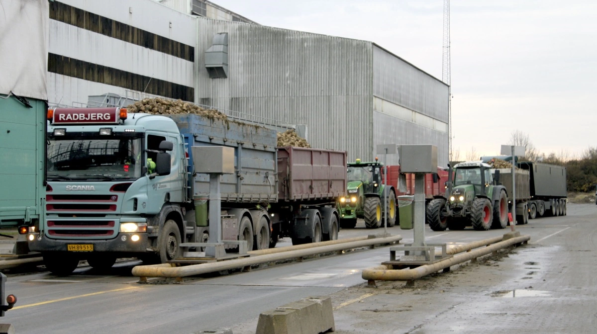 Striden opstod, da Nordic Sugar i 2024 skiftede fra de tidligere Cocksedge-prøvetagere til nye Rupro-prøvetagere. Ifølge Danske Sukkerroedyrkere har dette ført til systematisk for lave renhedsprocenter. Arkivfoto: Jørgen P. Jensen