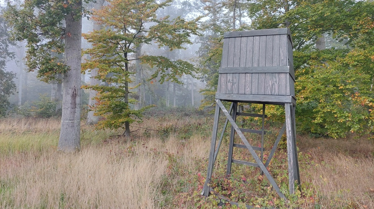 Jagttegnsafgiften skal betales inden den 31. marts. Arkivfoto: Camilla Bønløkke