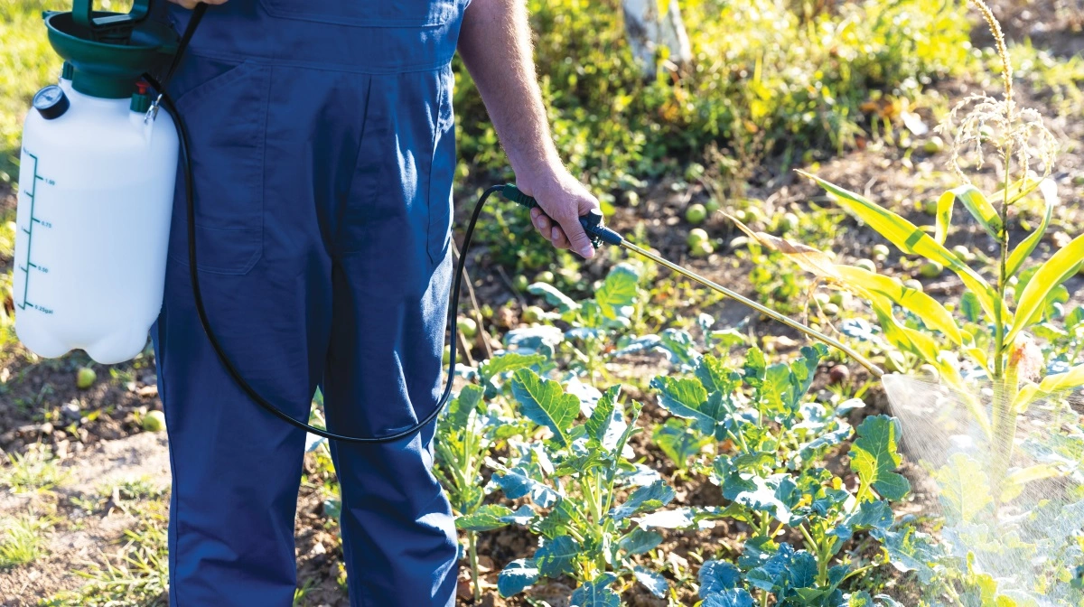 Interessen for biologiske pesticider og biostimulanter vokser. Foto: Colourbox