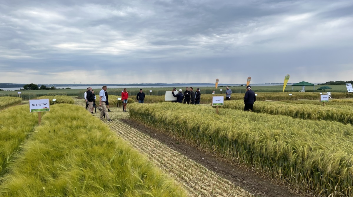 Det er en betydelig milepæl for landbrug og fødevareproduktionen, at EU-landene nu har sagt ja til at åbne op for ny teknologi i planteforædling, og de afsluttende forhandlinger kan påbegyndes.