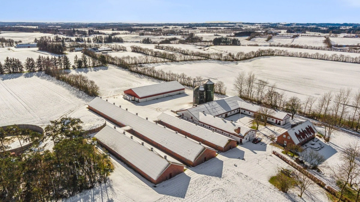 Udover slagtesvinestald og stuehus hører der blandt andet også et maskinhus, en foderlade, og to gastætte siloer til Nr. Vestergaard ved Sindal. Fotos: Ejendomsmæglerfirmaet Evald Borup