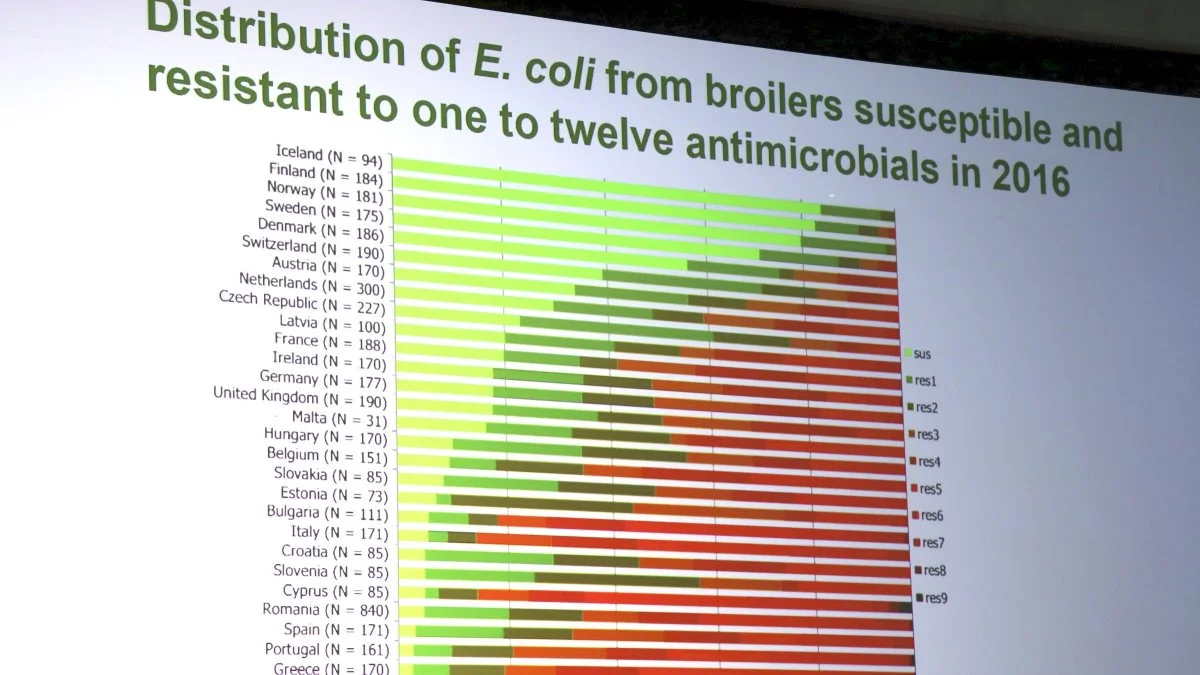 Bortset fra de husdyrfattige nordiske lande ligger Danmark i top med lav resistens mod op til 12 udvalgte antibiotika-typer. Lys grøn stribe betyder modtagelighed blandt E.coli-bakterier og øvrige farver er stigende grad af resistens.