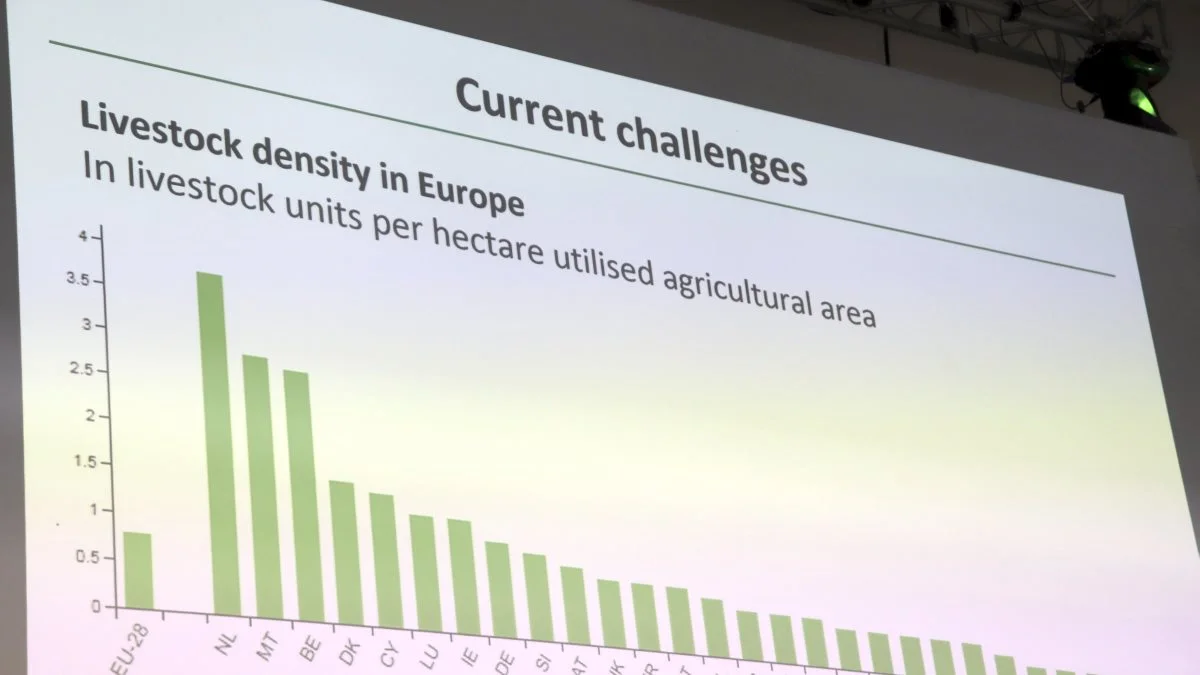 Husdyrtæthed i europæiske lande med Holland (NE) som klart det mest koncentrerede husdyrhold, mens Danmark er først blandt de mere gennemsnitlige husdyrlande.