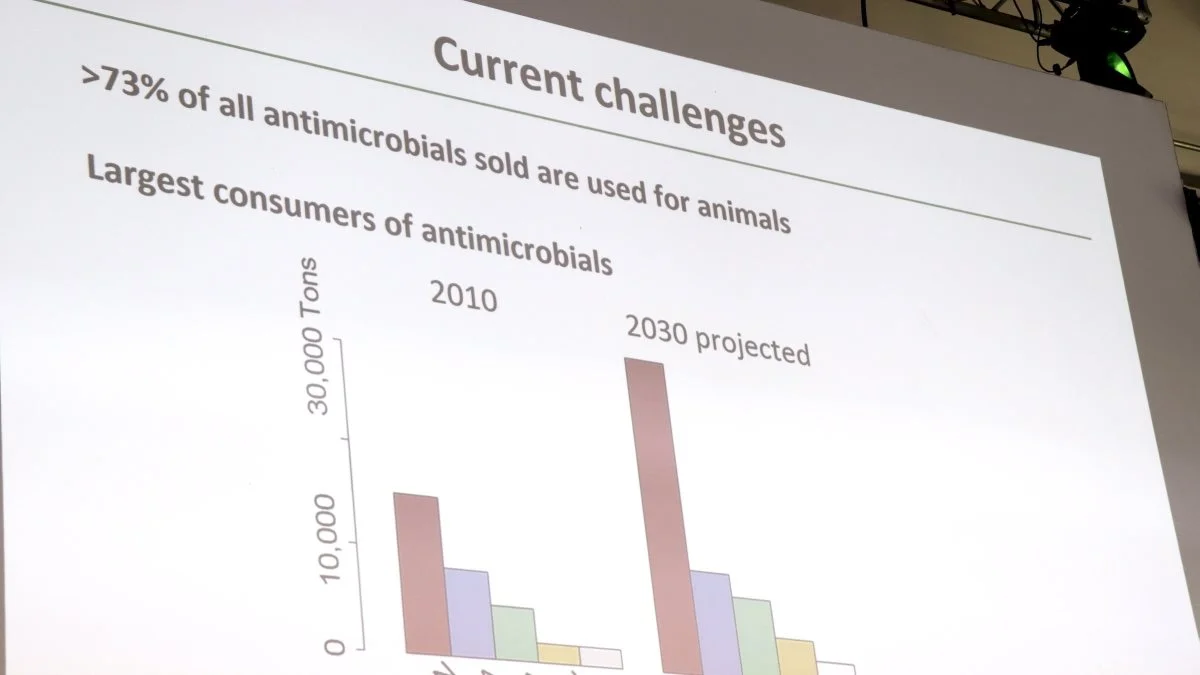 I 2030 forventes især Kina (CHN) at have høj antibiotika-resistens blandt landets husdyr.