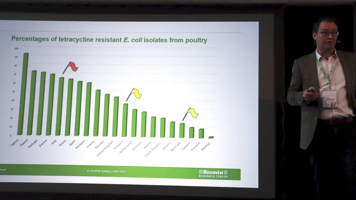 Helt gennemgående får Danmark på alle områder det grønne flag og ros for sin lave resistens overfor antibiotika – her indenfor fjerkræproduktion. 