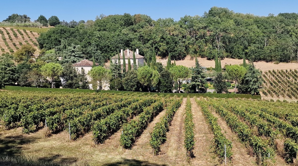 Den italienske modeentreprenør Renzo Rosso, der står bag tøjmærket Diesel, har kastet sig ind i vinbranchen med projektet Brave Wine.