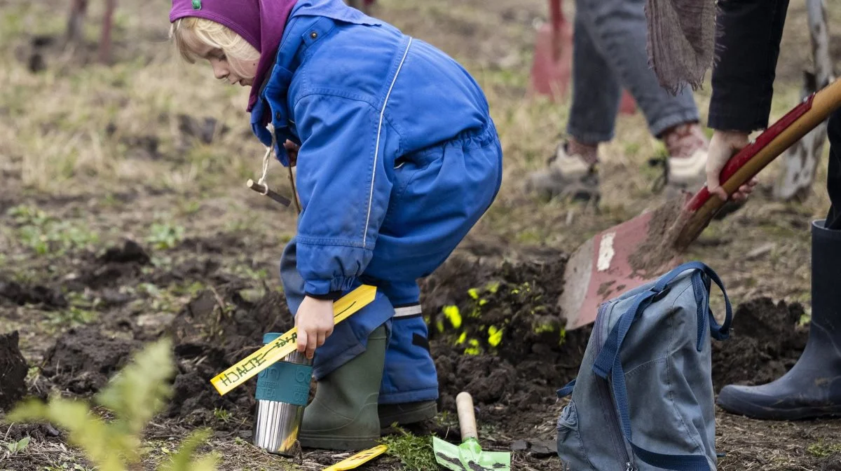 Kom og plant dine træer i Skamby Troldeskov 8. maj. Foto: Folkeskoven.dk.