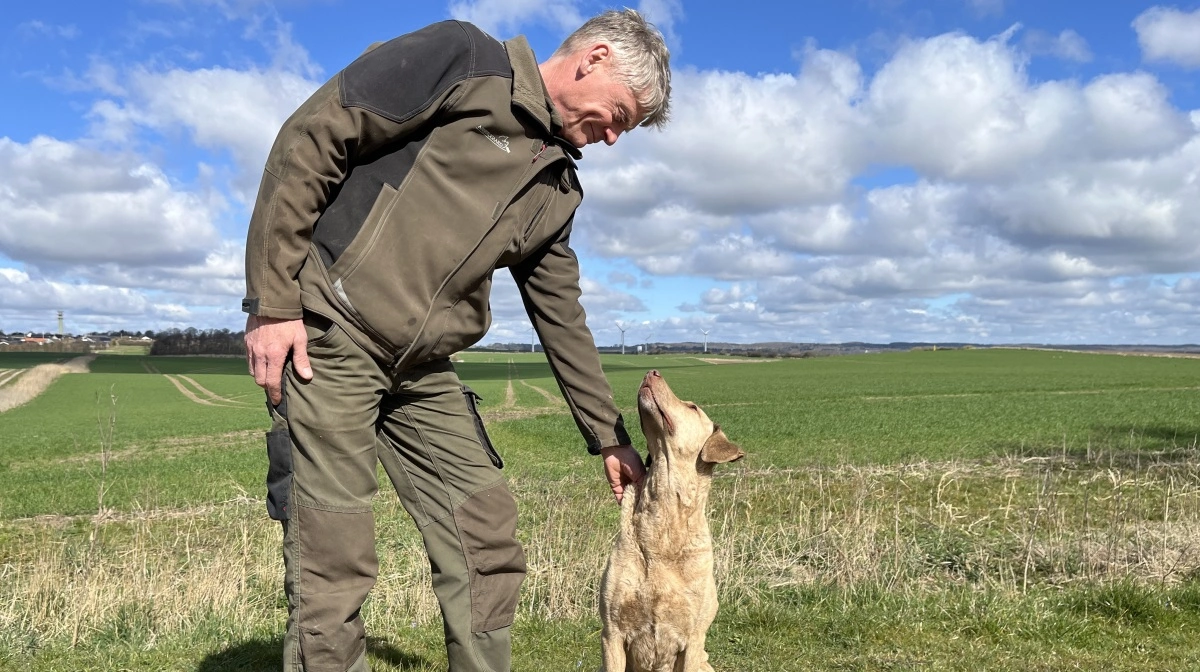 Jordbrug og svineproduktion går hånd i hånd på Asbjerggaard, hvor også hunden Chili er fast beboer.