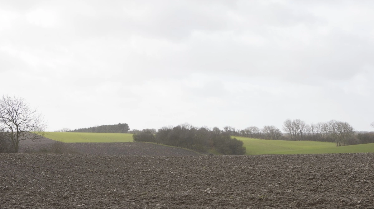 Det kan være svært at få mulighed for at starte op som ung landmand, der gerne vil eje sin jord, og stigende jordpriser den seneste tid har ikke just gjort det nemmere. Arkivfoto: Erik Hansen