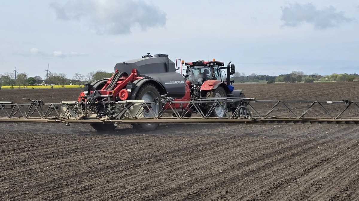 Det er almindeligt kendt at visse ukrudtsmidler kan være hårde ved afgrøden, men forsøgene fra Nordic Beet Research viser, at det er muligt at afbøde konsekvenserne i eksempelvis roer. Arkivfoto: Jørgen P. Jensen