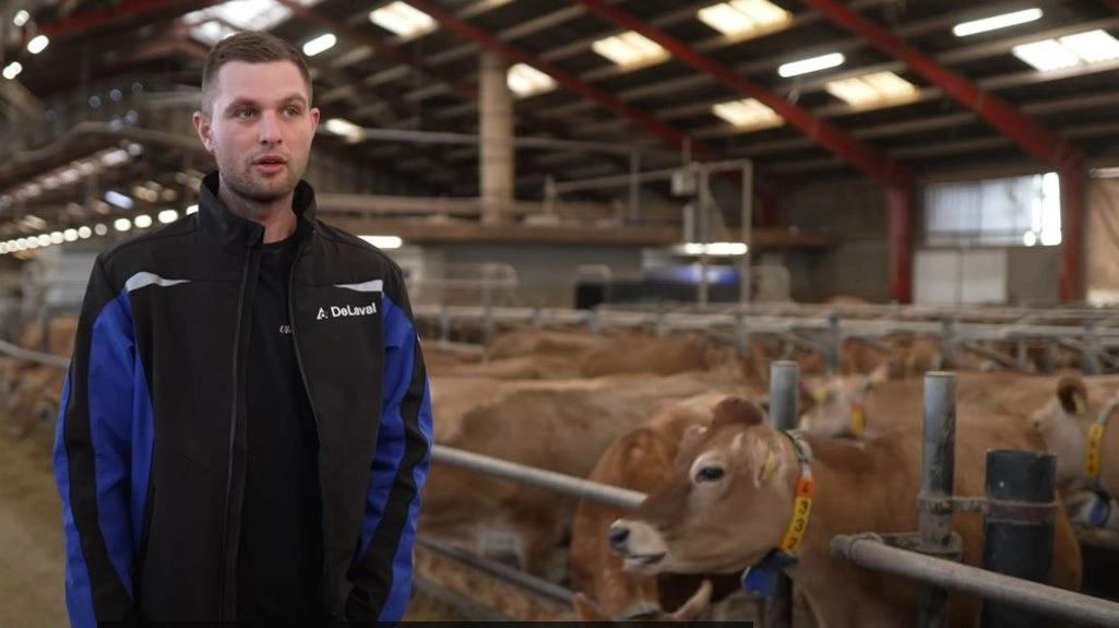 Efter, vi har fået Flow-Responsive Milking, har vi set endnu en forbedring i effektivitet, fortæller mælkeproducent Jeppe Ulvsbjerg Rasmussen fra Ulvsbjerggård. Foto: DeLaval
