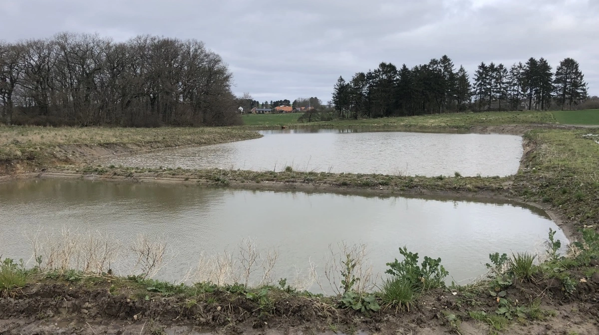 Foto: Djursland Landboforening