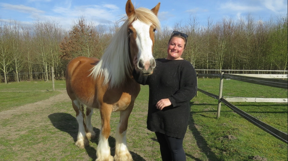 Anika Dunager med den to-årige tinker-hoppe Egemosens Martha, som hun udstiller på dyrskuet. Foto: Erik Kjærgaard Christensen