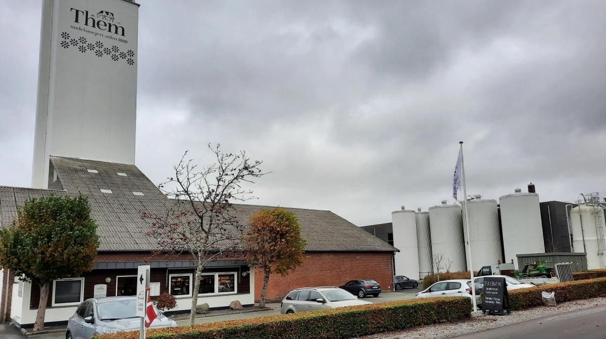 Them Andelsmejeri med egen ostebutik er med godt 100 ansatte en stor arbejdsplads i byen Them nær Silkeborg. Foto: John Ankersen