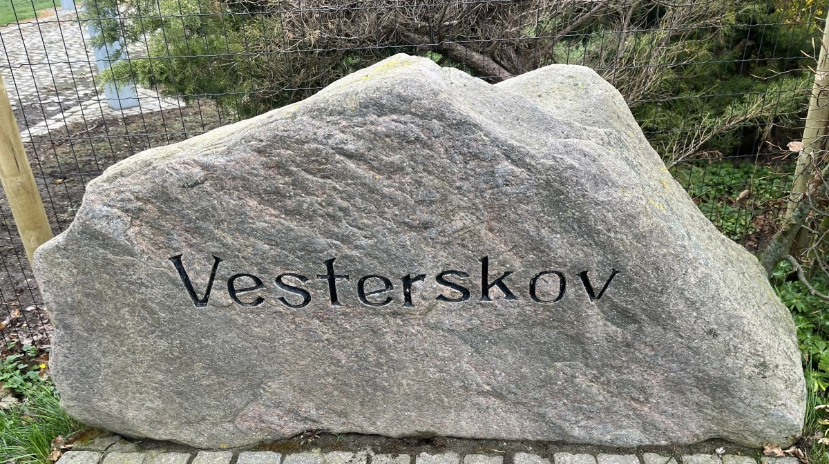 Vesterskov har været i den nuværende slægts eje siden 1901. Der blev senest generationsskiftet i 2024.