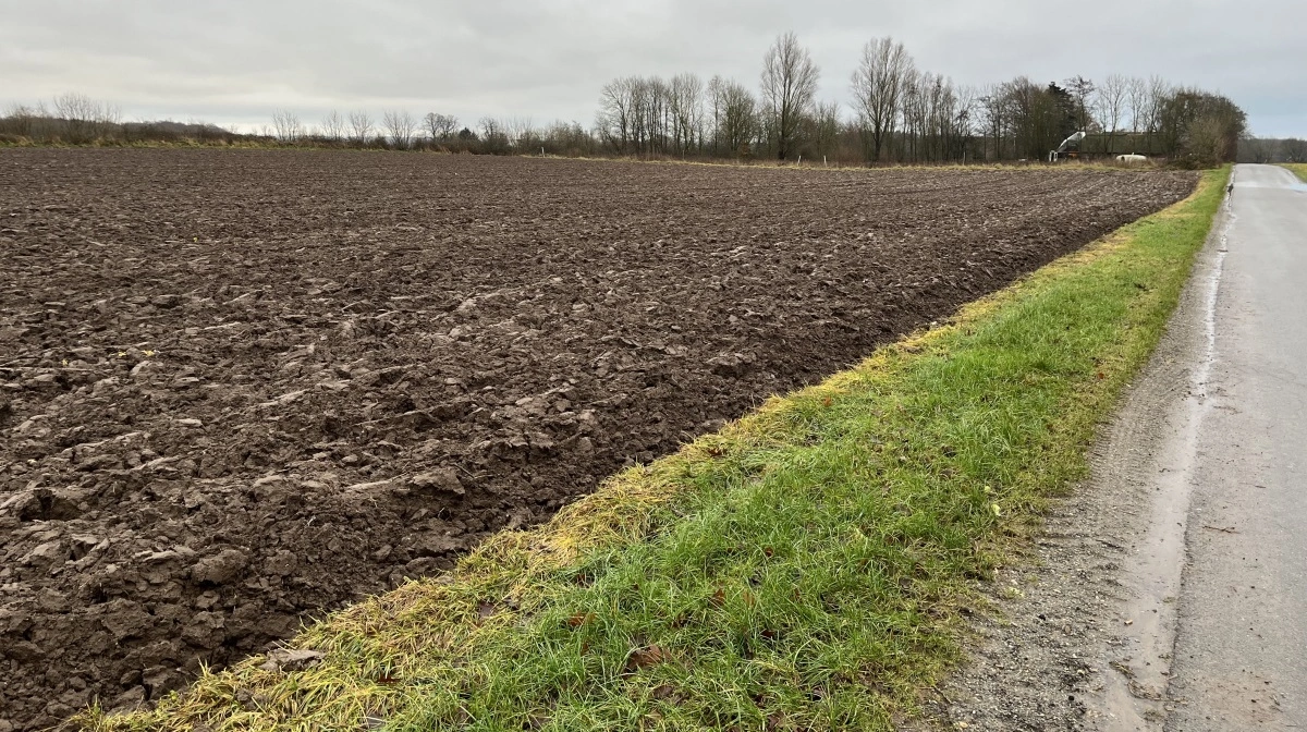 Landbrugsstøtten kan næppe fastholdes på det nuværende niveau i den næste europæiske landbrugsreform. Men uanset tilskudsstørrelsen bør der stadig være fælles spilleregler på tværs af landegrænserne, lyder det. Foto: Christian Ingemann