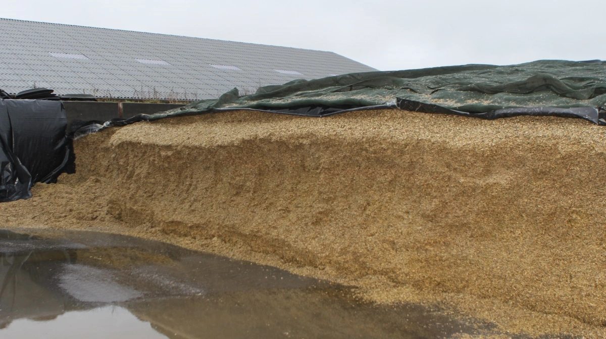 DLPI lancerer en brancheløsning, der udrulles i to skridt. Første skridt omhandler håndtering og udsortering af landbrugsplast såsom ensilage- og wrapfolier, hvor landmandens har ansvaret for udsorteringen. Det næste skridt omhandler emballager, der via producentansvaret er branchens virksomheders ansvar. Arkivfoto