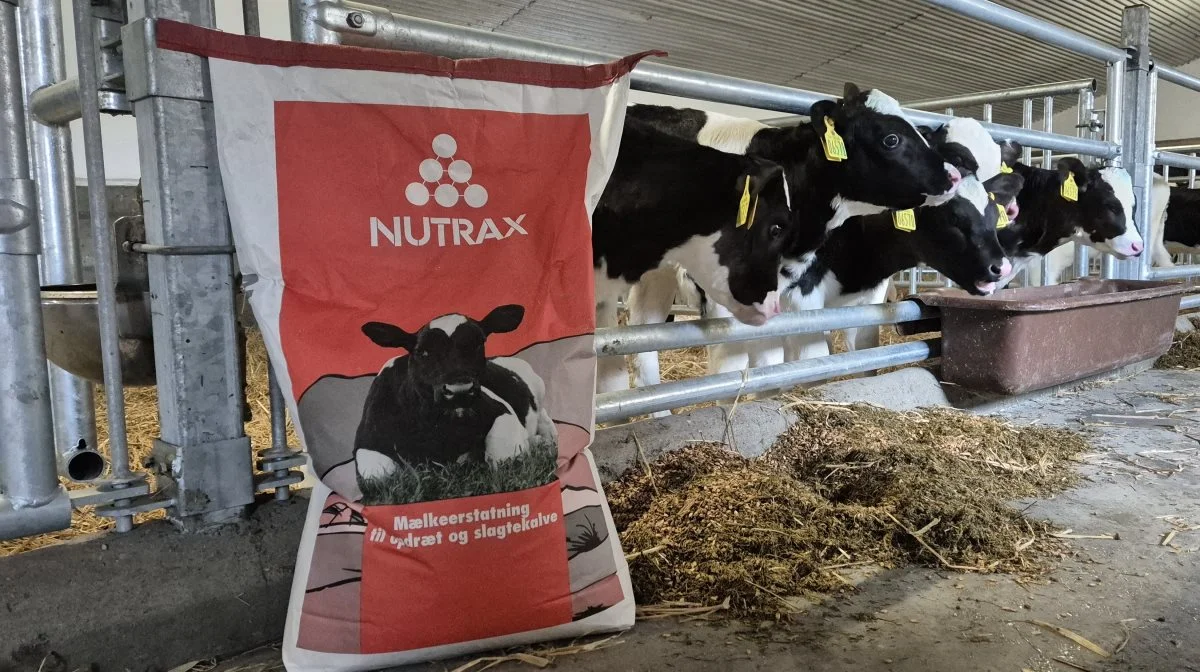 - Vores setup har hele tiden været at rådgive landmanden til at få anvendt produkterne rigtigt. For det er jo ikke noget ved, at vi kommer med et produkt af fineste kvalitet, hvis ikke det bliver brugt, som det er produceret til. Og det gælder jo både på grise og på kalve, siger Poul Martin Mortensen.