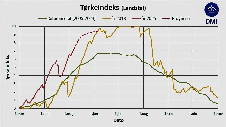 Tørkeindekset er på et højere niveau, end det var på samme tidspunkt i tørkeåret 2018. Kilde: DMI