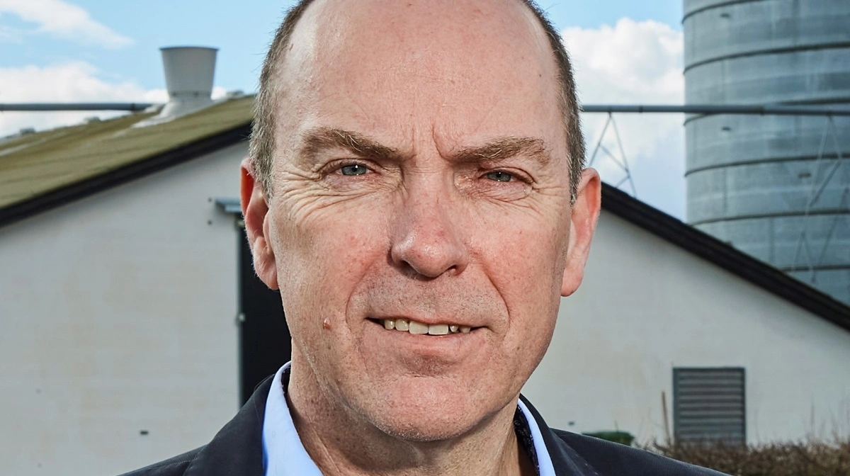 Til august nærmer noteringen sig otte kroner, men der er mere på vej, siger Brian Møller Lauridsen, direktør for levende dyr ved Rose Poultry. Foto: Rose Poultry