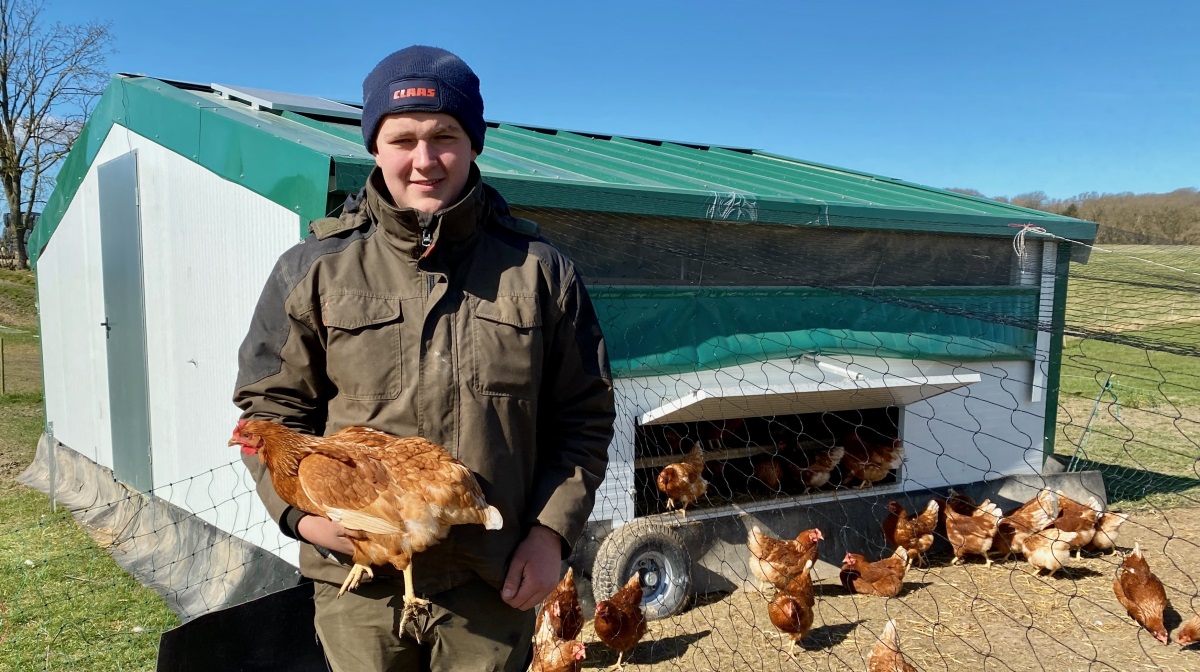 18-årige Bertram Berntsen fra Vestsjælland har på tre år opbygget en succesfuld forretning med frilandsæg i Bjergsted. Investeringen i det seneste mobile hønsehus er snart tjent hjem – og planerne rækker allerede videre.