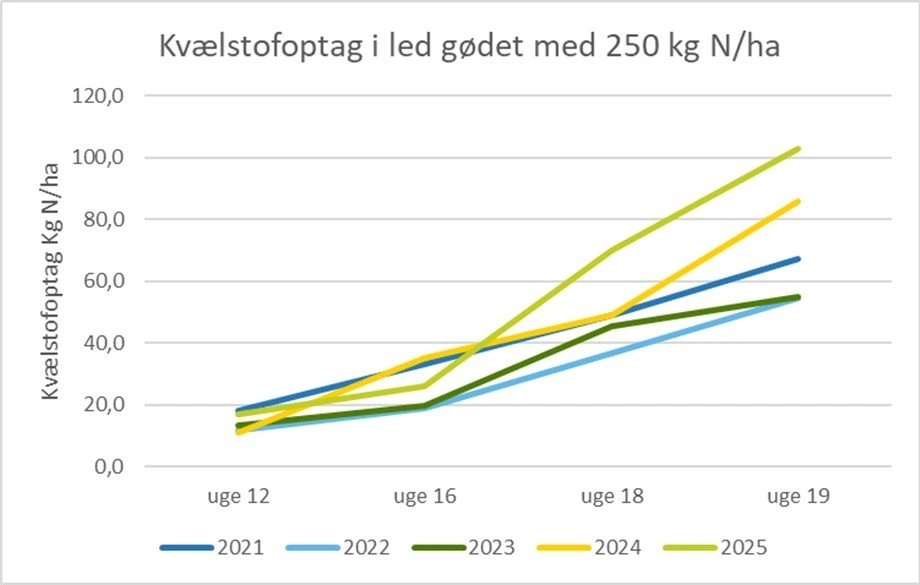 De overgødede parceller viser et optag på over 100 kg N pr. hektar. Kilde: Yara