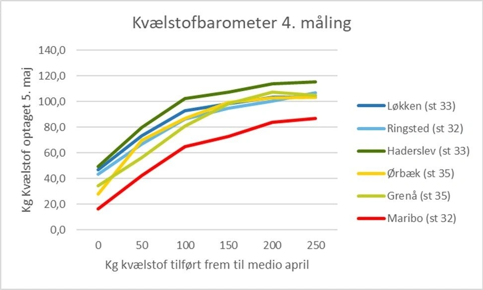 Der er generelt god respons for det tilførte kvælstof landet over, men hvedemarken i Maribo halter lidt bagud. Kilde: Yara