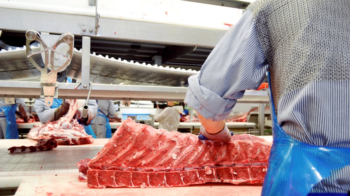 Trods høje priser er efterspørgslen på kalve- og oksekød fortsat stærk i både Danmark og Sydeuropa, hvor restauranter og detailhandlen holder fast i ordrerne – og Danish Crown Beef jagter fortsatte prisstigninger.