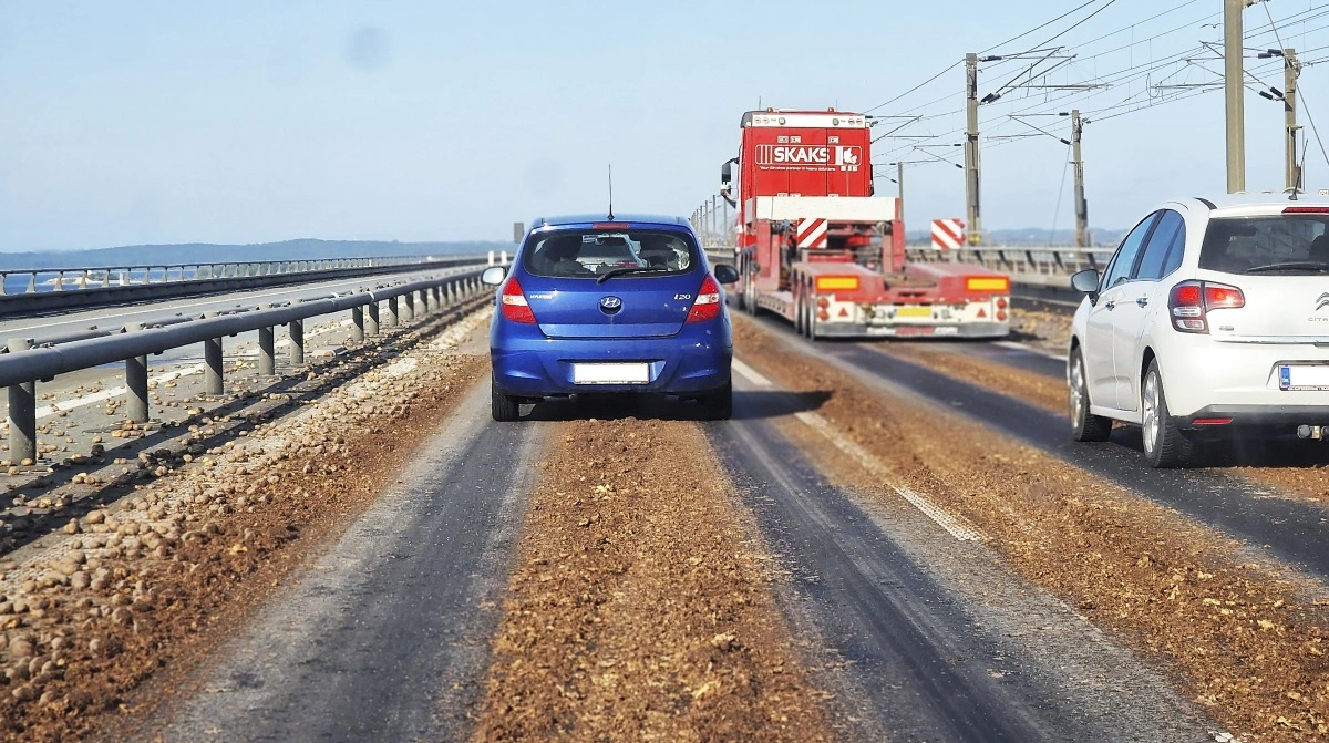 Vognmanden har tidligere fortalt til Effektivt Landbrug, at aktionen i alt indebar tre læs affaldskartofler på tilsammen omkring 40 tons. Arkivfoto: Jørgen P. Jensen