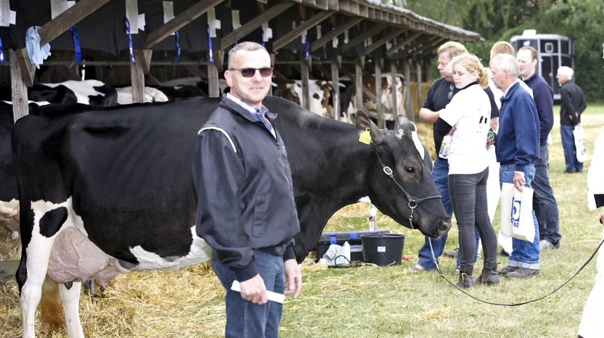 Carsten Hedegaard ved et tidligere fynsk dyrskue. Også i år har han og familien en række flotte dyr af den sortbrogede danske malkerace tilmeldt dyrskuet. Arkivfoto: Erik Hansen