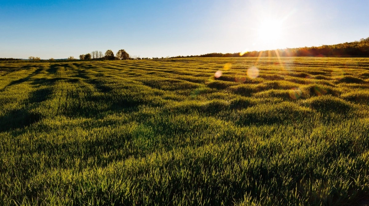 AgriFoodTure investerer tocifret millionbeløb i 11 grønne innovationsprojekter. Foto: AgriFoodTure
