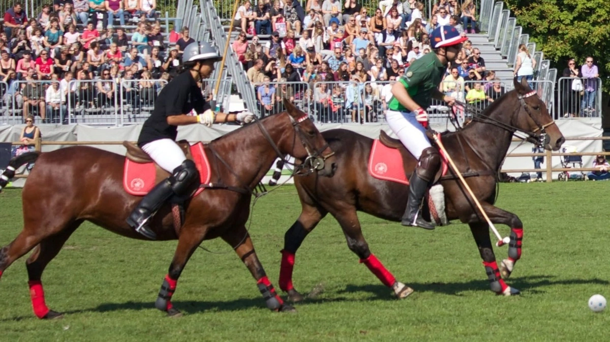 På dyrskuet i år bliver der for første gang i 10 år mulighed for at se polo. Foto: roskildedyrskue.dk