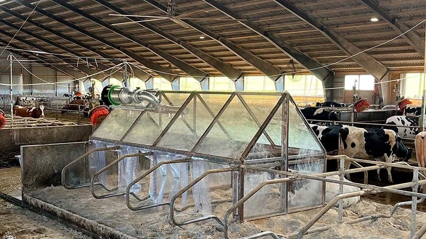 - Det har faktisk overrasket mig, hvor lidt vi har kunnet mærke det på køerne, fortæller Svend Hestbæk om metanhusene i stalden ved Aalestrup. Foto: Seges Innovation