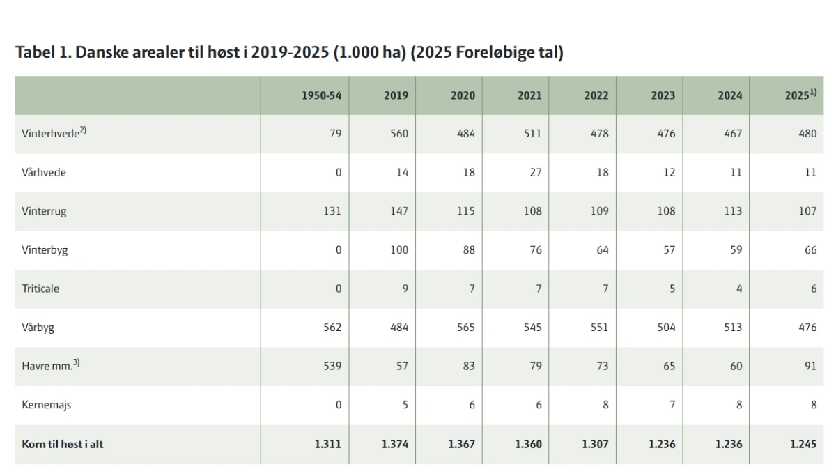 Opgørelse fra Seges Innovation af kornarealet til høst 2025.