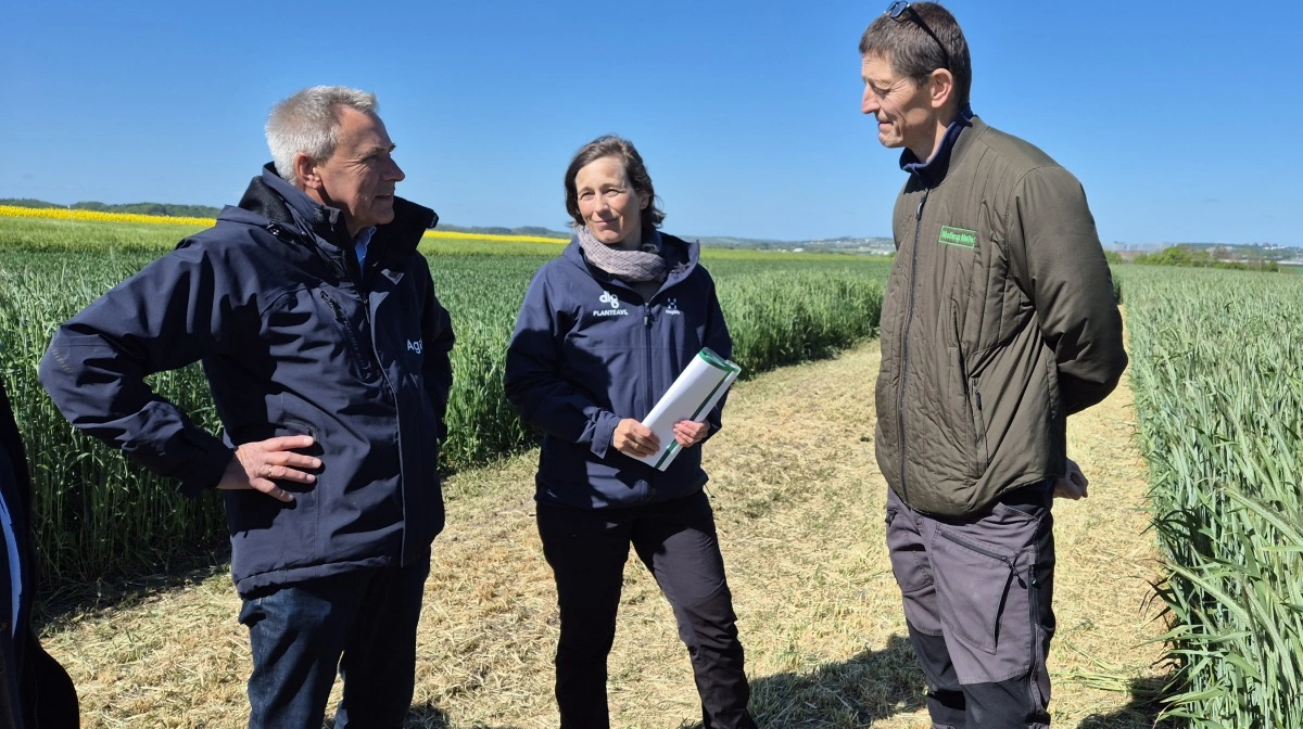 I år har teamleder ved Agillix Poul Madsen (tv.) et større hold i ryggen efter LandboNord og Agri Nord slog sig sammen sidste år. DLG og Mollerup Mølle er medarrangør igen i år. Her ses Betina Tykgaard Arvidson og Tommy Pedersen.