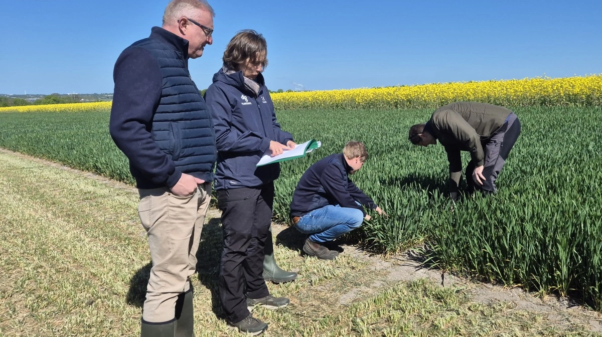Bag Agri Farm Day står Agillix, DLG og Mollerup Mølle. Her nærstuderer souschef og teamleder Flemming Floor Jensen fra Agillix og fagkonsulent ved DLG Betina Tykgaard Arvidson listen over sortsblandinger, mens planteavlskonsulent Jakob Hundahl Poulsen, Agillix, og salgskonsulent ved Mollerup Mølle Tommy Pedersen kigger på de enkelte sorter.  