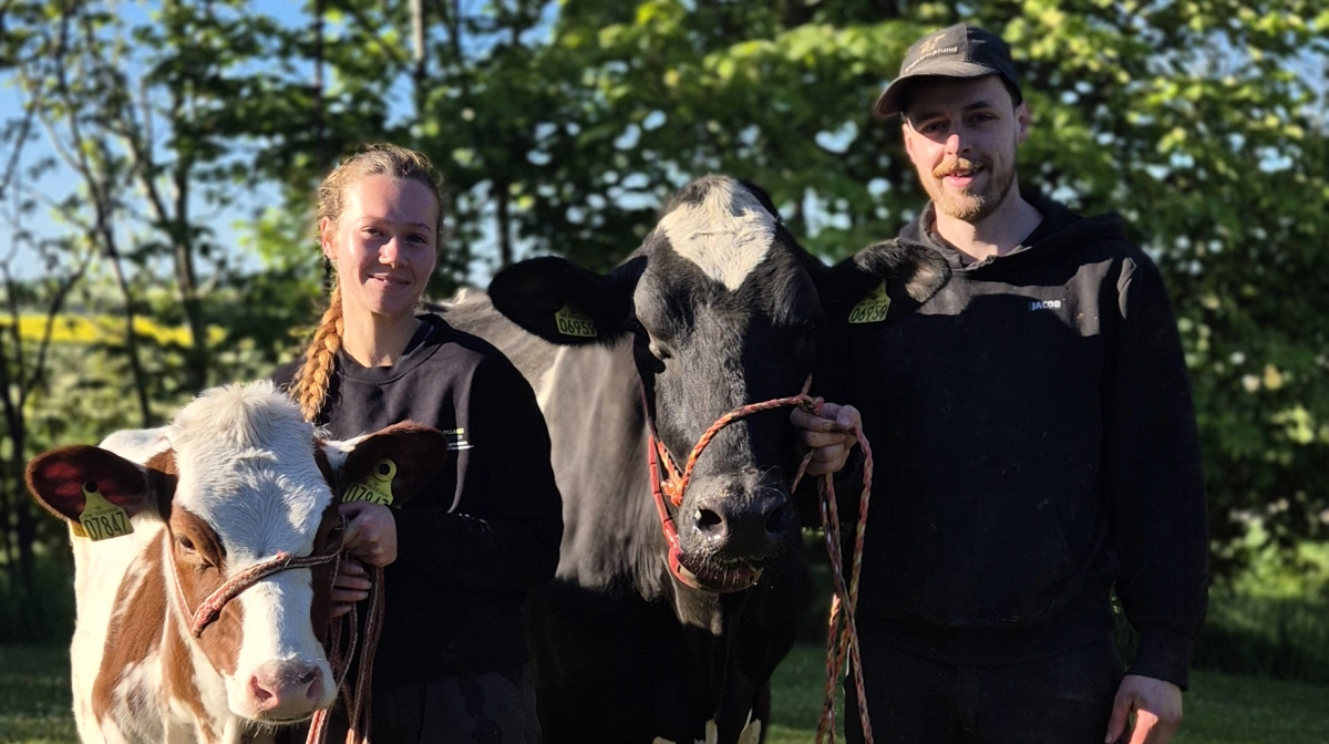 Sofie får blandt andet hjælp af fodermester Jacob. De har i alt tilmeldt fem dyr.