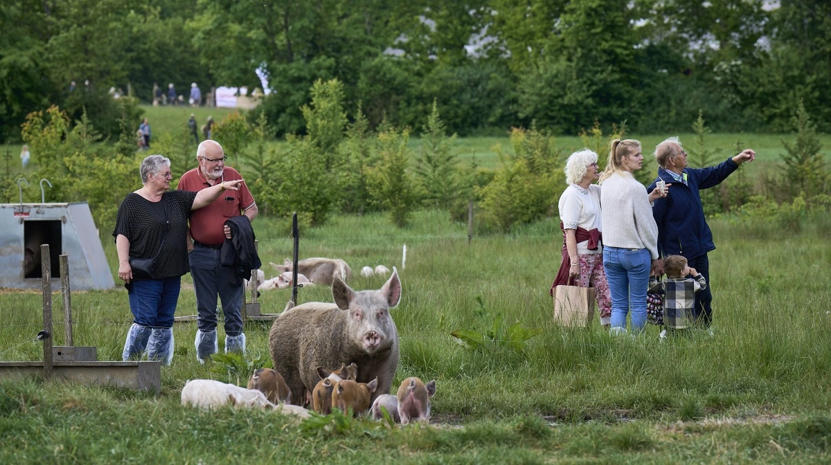 Over 9.000 mennesker besøgte Sofari. Pressefoto