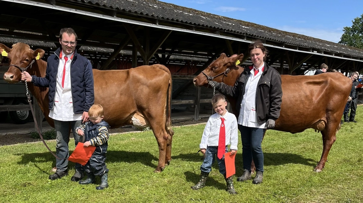 Anne Kathrine og Johan Bebe sammen med sønnerne Karl og Erik og et par af familiens røde malkekøer på sidste års udgave af Det Fynske Dyrskue. Foto: Kommpress
