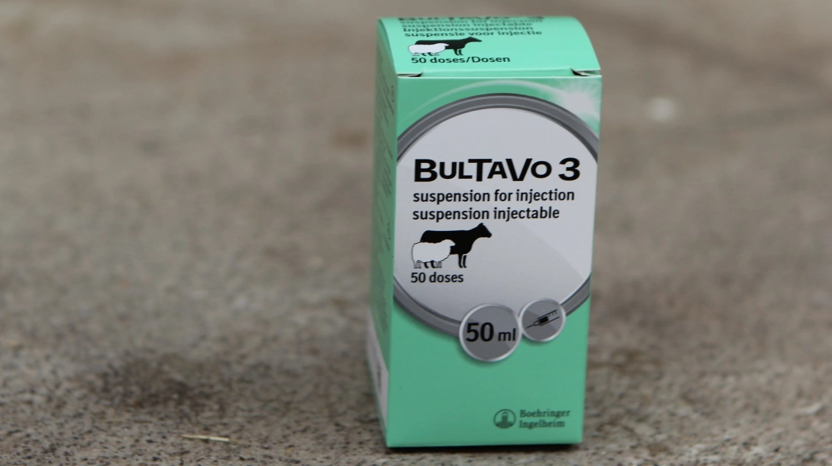 Virksomheden Boehringer Ingelheim har oplyst, at vaccinen Bultavo-3 nu er markedsført i Danmark. Vaccinen er dermed tilgængelig via apotekerne, og forsyningen forventes at være stabil fra midten af uge 21. Foto: Line Brusgaard