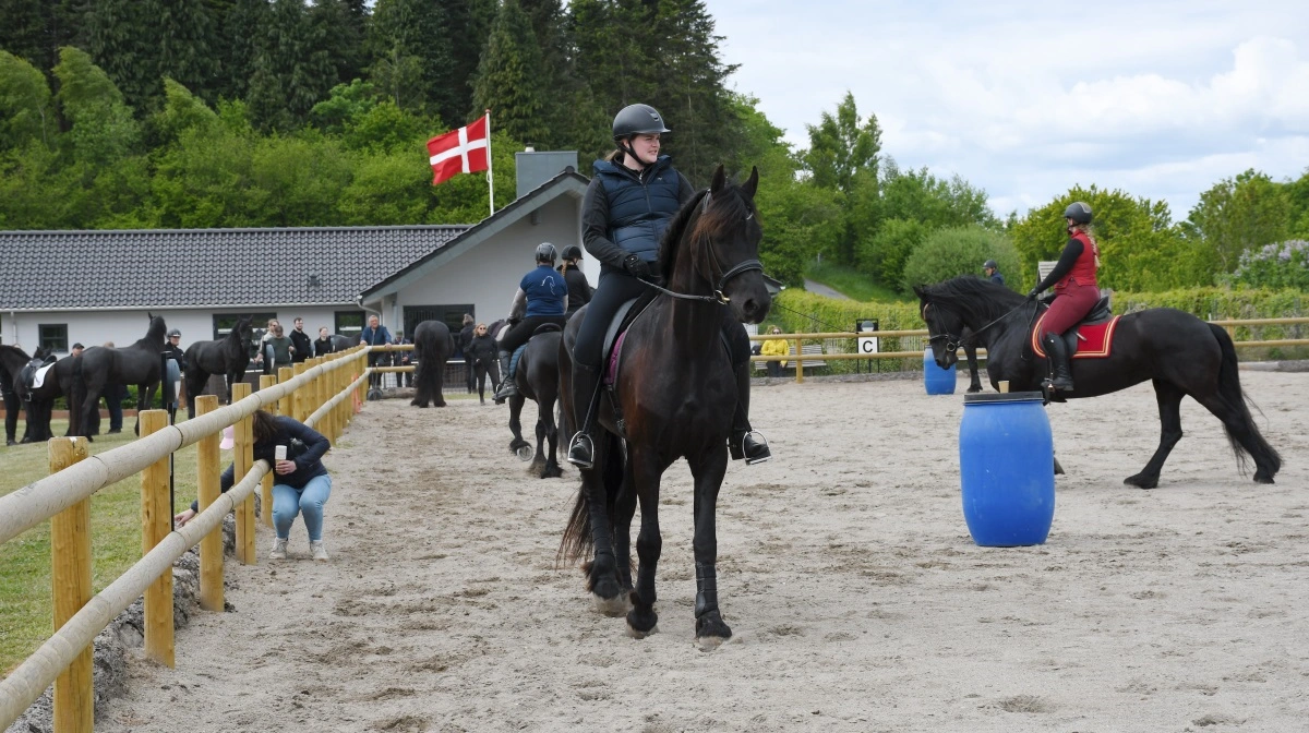 Foreningen Frieser Fyn har igen været samlet til en festlig frieserdag og opvarmning til Det Fynske Dyrskue. Fotos: Camilla Bønløkke