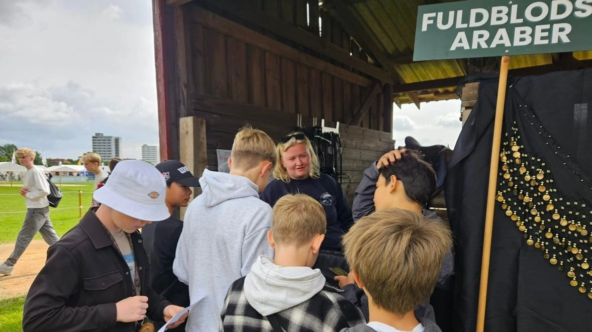 Det Fynske Dyrskue er et godt udstillingsvindue til at fortælle om de forskellige hesteracer.