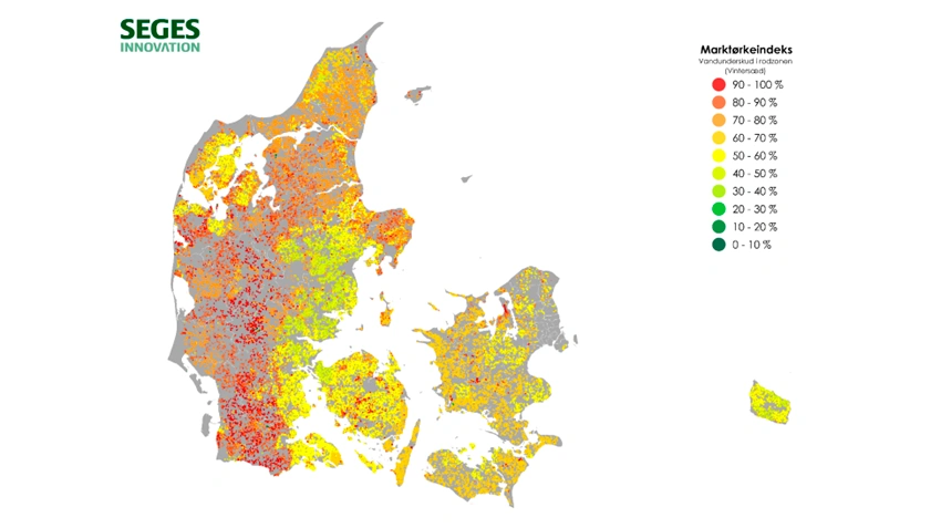 Marktørkeindekset vist for vintersæd også fra i mandags den 19. maj. Her er Lolland kun med en middel tørke, mens vestlige Jylland er i maksimal rødt for højeste tørke. Kilde: Seges