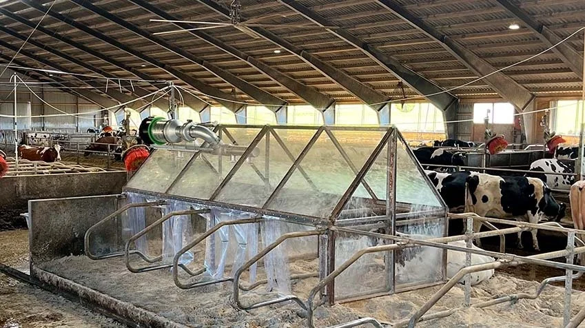 - Det har faktisk overrasket mig, hvor lidt vi har kunnet mærke det på køerne, fortæller Svend Hestbæk om metanhusene i stalden ved Aalestrup. Foto: Seges Innovation