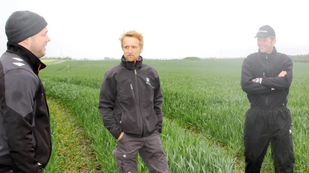 Som en del af projektet Hvede 2.0 mødes landmand Kristian Boel, Mariesminde (tv) jævnligt med Jesper Ulnitz, Yara og Just Bach Andersen, BASF. Foto: Henriette Lemvig