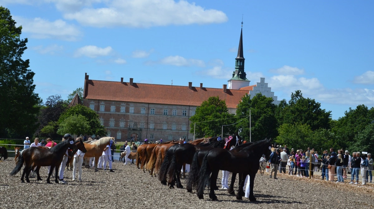 Tilmeldingen er åben til årets Brahetrolleborg Pony- og Hesteskue. Arkivfoto: Camilla Bønløkke